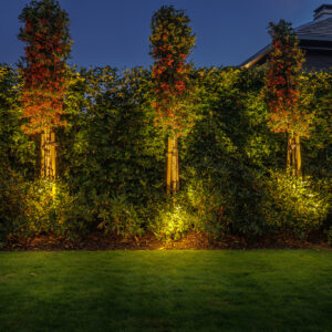 Spotlights