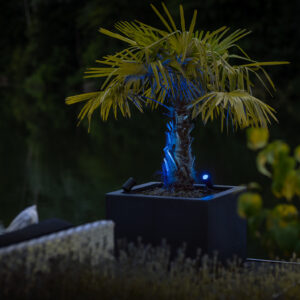 200n 02 miljobild castor smart 200n blauw